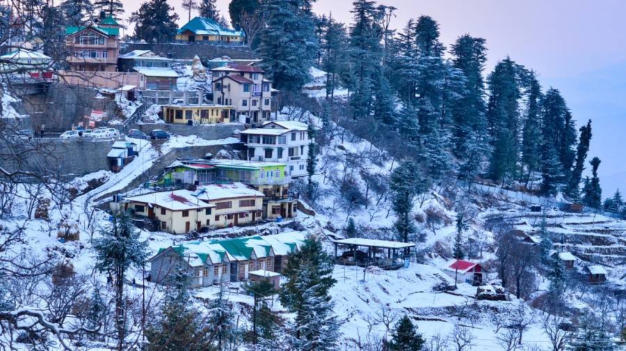 shimla